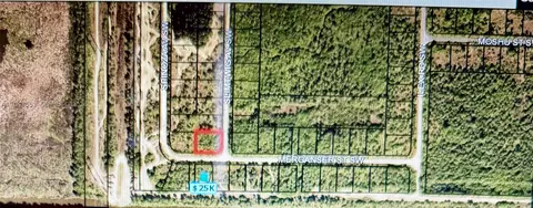 Merganser St Sw & Slimtwig Ave, Palm Bay, FL 32908