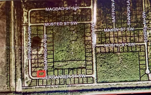 Merganser St Sw & Slimtwig Ave, Palm Bay, FL 32908