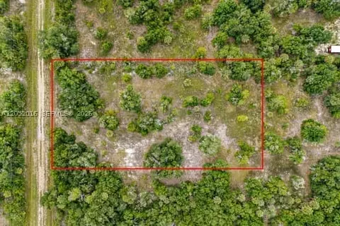 20378 NW 296th St, Okeechobee, FL 34972 photo 6