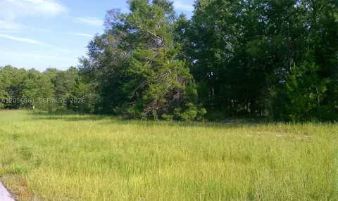 0 0, Ocala, FL 34471 photo 6