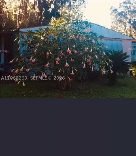 5904 S Harvey, Riverview, FL 33578 photo 4