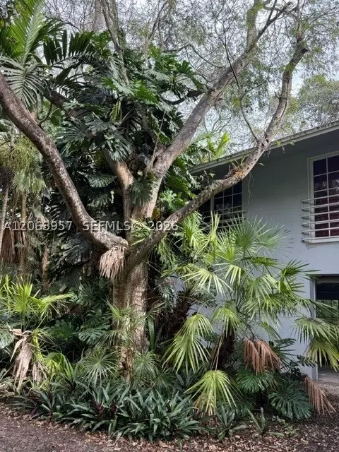 23805 SW 142nd Ave, Homestead, FL 33032
