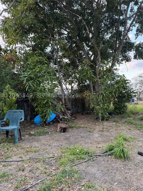 822 Lemon, Sebring, FL 33870 photo 9