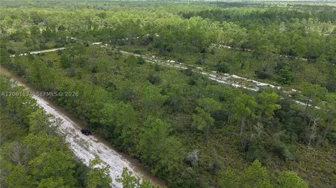 Eldorado Eldorado, Other, FL 33855 photo 28