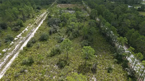 Eldorado Eldorado, Other, FL 33855 photo 11