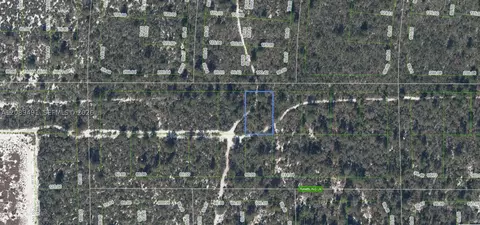 437 Souvenir Ln, Lake Placid, FL 33852