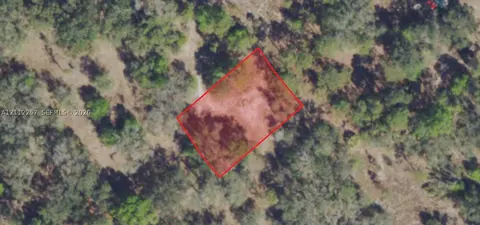 0 Access Undetermined, Other, FL 33920 photo 3