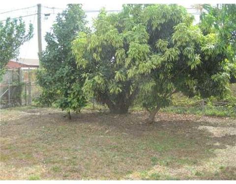 840 SE 4 St, Hialeah, FL 33010 photo 22