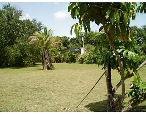 13575 SW 67 Ct, Pinecrest, FL 33156 photo 13