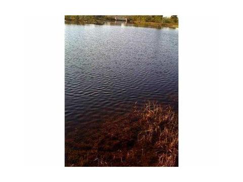 1852 Andromeda Ln, Weston, FL 33327 photo 13