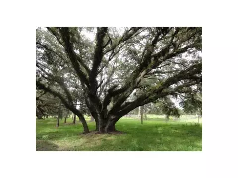2002 Marshall Field Rd, Other, FL 33935 photo 5