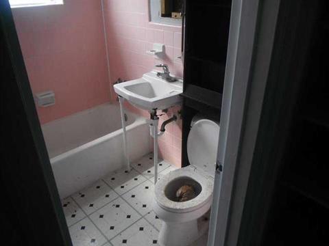 2575 NE 13 Ave, Pompano Beach, FL 33064 photo 7