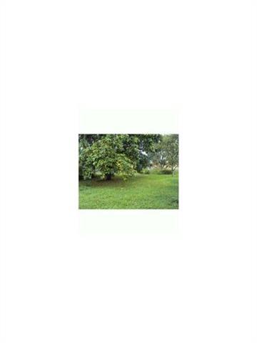 Undisclosed, Hialeah, FL 33013 photo 2