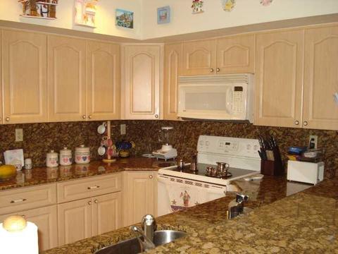 8284 Dundee Te #8284, Miami Lakes, FL 33016 photo 9