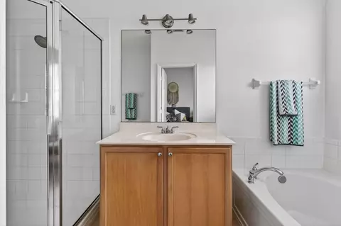 Bath - 355 E Thatch Palm Cir #103, Jupiter, FL 33458 photo 4 of 9