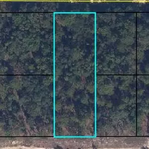 6183 Juilliard Ave, Keystone Heights, FL 32656