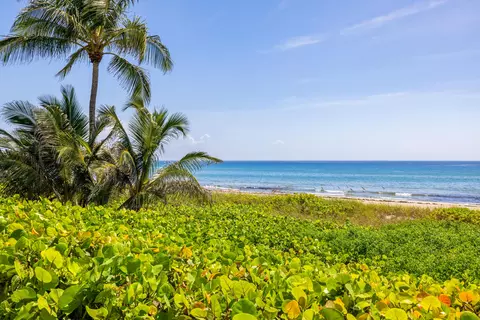 246 NE 14th St, Delray Beach, FL 33444