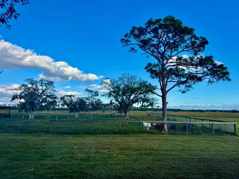Exterior - 14151 E Center St, Okeechobee, FL 34974 photo 5 of 5