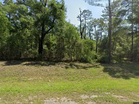 1443 E Odin Dr, Dunnellon, FL 34434