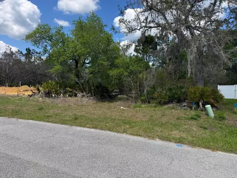 1625 Pickerel Ct, Kissimmee, FL 34759