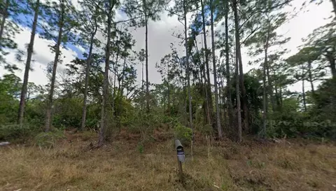 1210 Raphia St E, Lehigh Acres, FL 33974