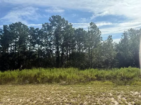 tbd 135th St Rd, Ocala, FL 34473