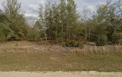 tbd Marion Ave, Interlachen, FL 32148