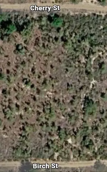 000 Unassigned, Location, FL 32148