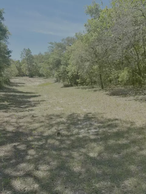 3334 N Annapolis Ave, Hernando, FL 34442 photo 4