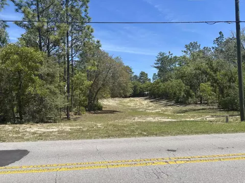 3334 N Annapolis Ave, Hernando, FL 34442 photo 2