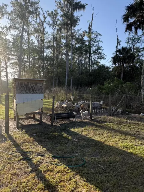 855 N Datil St, Clewiston, FL 33440 photo 17