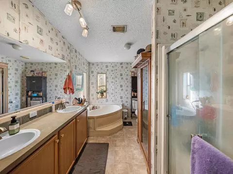 Bath - 11404 Lithia Pinecrest Rd, Lithia, FL 33547 photo 2 of 6