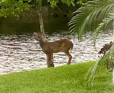 Other - 19189 Tamara Ln, Jupiter, FL 33458 photo 11 of 14