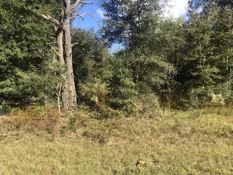 0 Dawn Ave, Interlachen, FL 32148