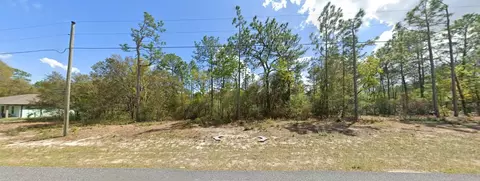 9029 N Saponaria Dr, Dunnellon, FL 34433