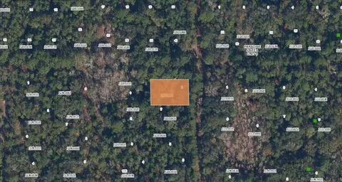 0 Spruce Dr, Georgetown, FL 32139 photo 1