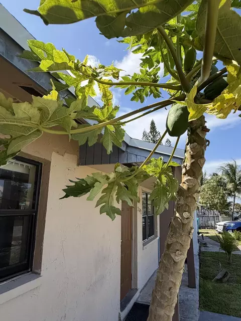 3243 Grove Rd, Boynton Beach, FL 33435