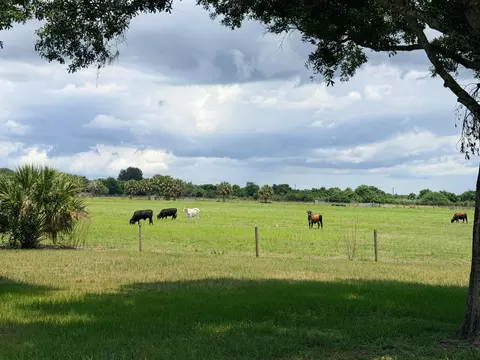 1206 SE 10th St, Okeechobee, FL 34974 photo 3