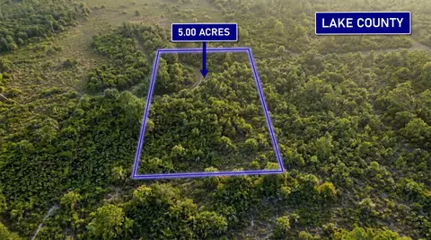 000 Calvin Lee Rd, Clermont, FL 34736