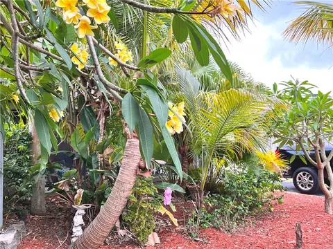 3208 Dow St, Pompano Beach, FL 33062 photo 3