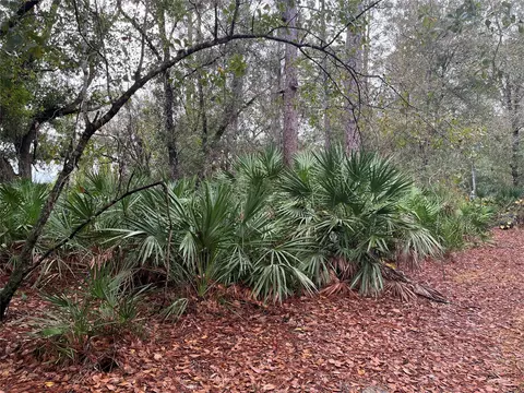 5125 Michon Path, Avon Park, FL 33825