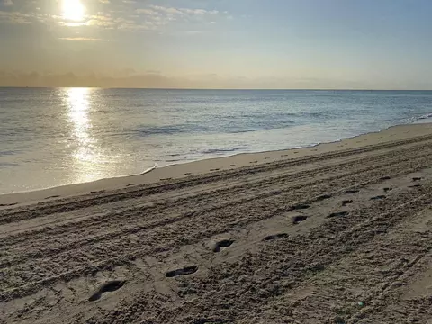 3220 NE 10th St #7, Pompano Beach, FL 33062 photo 15