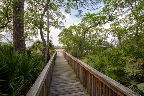 224 History Pl, Saint Augustine, FL 32095 photo 37