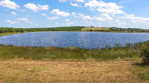 206 Magellan Cir, FL 34715 photo 37