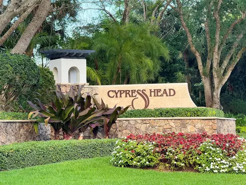 6801 E Cypresshead Dr, Parkland, FL 33067 photo 79