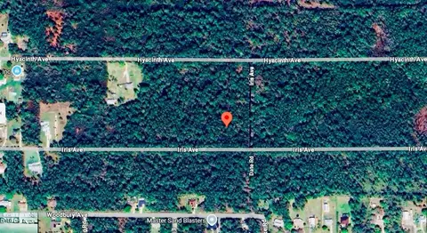 1218 Iris Ave, Sebring, FL 33875 photo 4