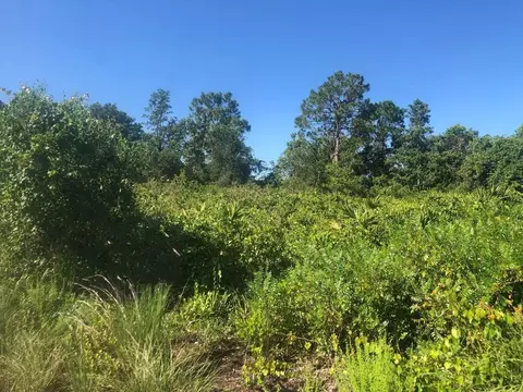 153 Disney Blvd, Avon Park, FL 33825