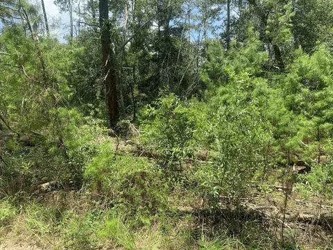 111 New York Ave, Interlachen, FL 32148