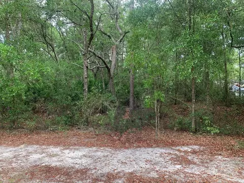 209 Highline Trl, Satsuma, FL 32189