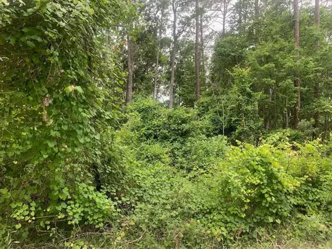 123 Coot Rd, Satsuma, FL 32189